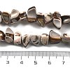 Dyed Natural Trochus Shell Beads Strands BSHE-Z006-01B-4