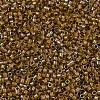 MIYUKI Delica Beads SEED-X0054-DB1738-3