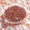 MIYUKI Quarter TILA Beads X-SEED-J020-QTL257-2