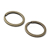 Iron Split Key Rings FIND-B046-06A-AB-2