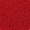 MIYUKI Round Rocailles Beads X-SEED-G007-RR0141F-3