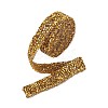 Glitter Resin Hotfix Rhinestone(Hot Melt Adhesive On The Back) OCOR-TAC0004-B-02-1