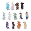 13Pcs Natural Mixed Gemstone Pendants X1-PALLOY-JF02145-02-1