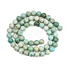 Natural Peruvian Turquoise(Jasper) Beads Strands G-F836-A02-6mm-3