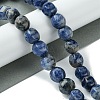 Natural Blue Spot Jasper Beads Strands G-H023-A07-01-2