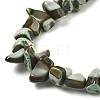 Dyed Natural Trochus Shell Beads Strands BSHE-Z006-01A-3