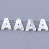 Natural Sea Shell Beads SHEL-T012-60A-1