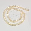 Natural Cultured Freshwater Pearl Beads Strands PEAR-L003-C-01-2