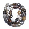 Natural Botswana Agate Beads Strands G-K245-N01-01-2