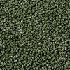 MIYUKI Delica Beads X-SEED-J020-DB1135-3
