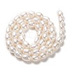 Natural Cultured Freshwater Pearl Beads Strands PEAR-L033-70-01-3