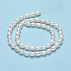 Natural Cultured Freshwater Pearl Beads Strands PEAR-J006-17E-01-3