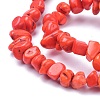 Natural Magnesite Beads Strands TURQ-P001-02A-10-3