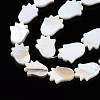 Natural Freshwater Shell Beads Strands SHEL-Q024-010-3