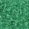 FGB Frosted Transparent Glass Seed Beads SEED-N013-06A-09-3