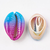 Spray Paint Cowrie Shell Beads SHEL-S274-01-3