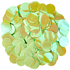 PVC Sequin Pendants KY-WH0083-009E-1
