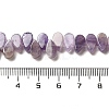 Natural Amethyst Beads Strands G-B064-B01-5