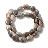 Natural Crazy Lace Agate Beads Strands G-G102-B01-01-3