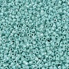MIYUKI Delica Beads SEED-MY11-DB1576-3