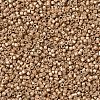 MIYUKI Delica Beads X-SEED-J020-DB1155-3