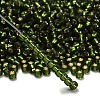 TOHO 6/0 Round Beads SEED-XTR06-0037-2