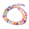 Natural Freshwater Shell Beads Strands SSHEL-C013-08B-2
