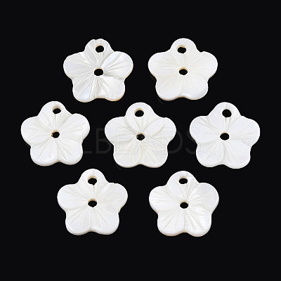 Natural Freshwater Shell Buttons SHEL-N038-11-1