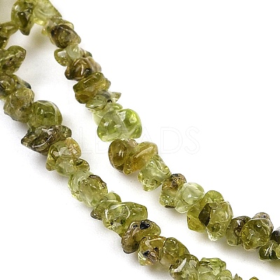 Natural Peridot Beads Strands G-P332-48-02-1