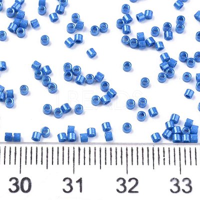 FGB 11/0 Grade A Baking Paint Glass Seed Beads X-SEED-S030-1042-1