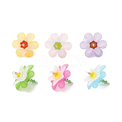 Acrylic Pendants PALLOY-TA00289-1
