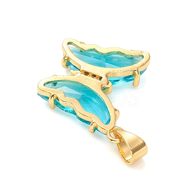 Glass Pendants X-GLAA-G075-01G-07-1
