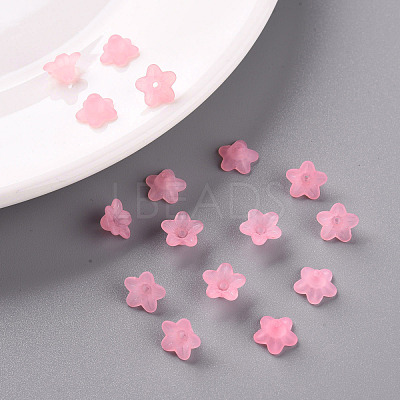 Transparent Acrylic Beads PL554-03-1