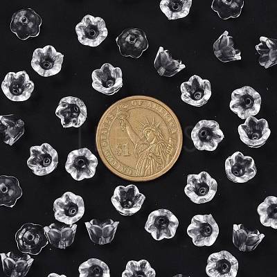 Transparent Clear Acrylic Beads PL548-1-1