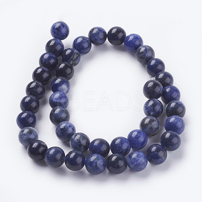 Natural Sodalite Beads Strands G-G448-10mm-25-1