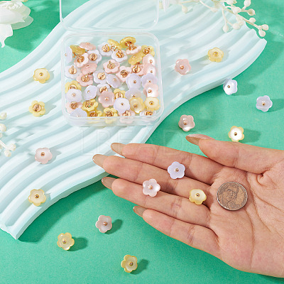 60Pcs 3 Colors 1-Hole Resin Buttons RESI-TA0004-42-1