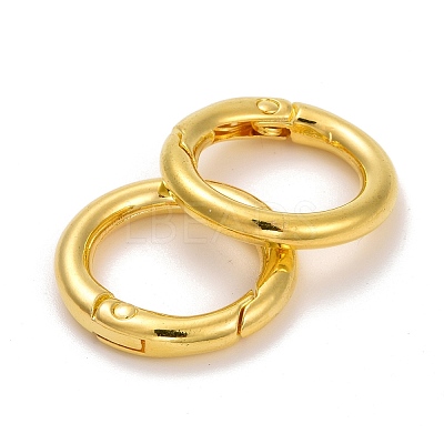 Alloy Spring Gate Rings PALLOY-M015-01G-1