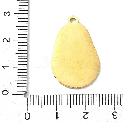 304 Stainless Steel Fruit Enamel Pendants LS-STAS-G362-04G-01-1