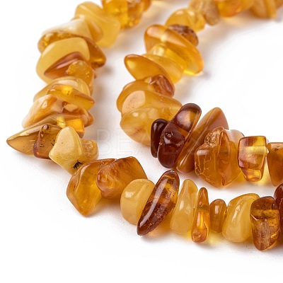 Natural Amber Chip Beads Strands G-E271-81-1