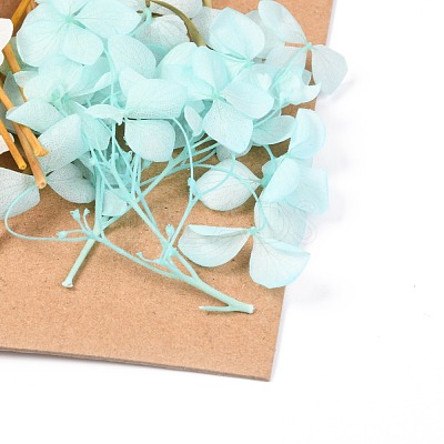 Dried Flower DIY-B018-03-1