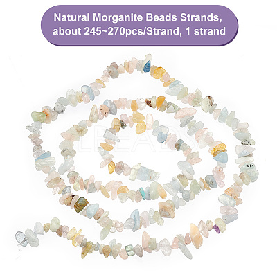 1 Strand Natural Morganite Beads Strands G-OC0004-51-1