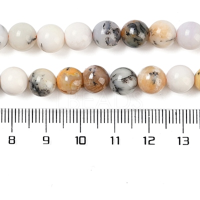 Natural White African Opal Beads Strands G-E472-02-8mmC-1