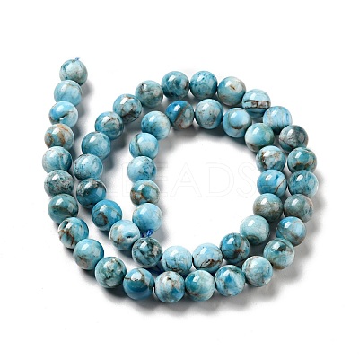 Natural Apatite Beads Strands G-G858-01B-1