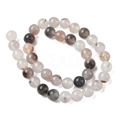 Natural Dendritic Agate Beads Strands G-C011-10mm-01-1