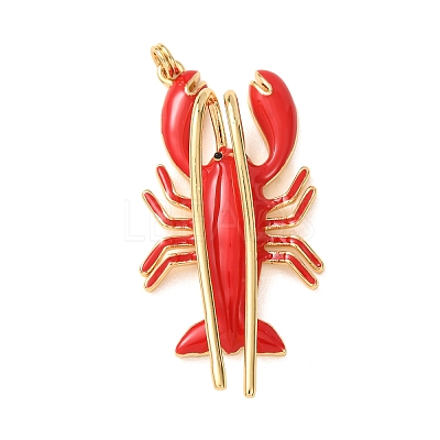 Brass with Enamel Pendants KK-CBA2F11-10G-01-1