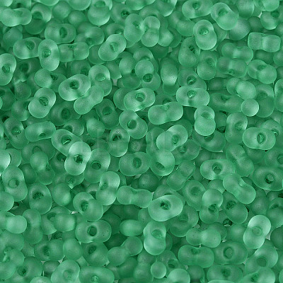 FGB Frosted Transparent Glass Seed Beads SEED-N013-06A-09-1