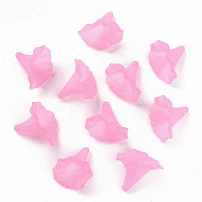 Transparent Acrylic Beads X-BSF796-C10-1