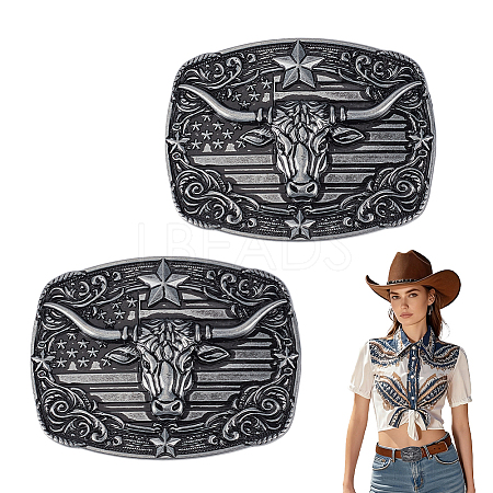 2Pcs Zinc Alloy Smooth Buckles FIND-NB0007-31A-01-1
