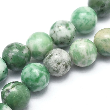 Natural Qinghai Jade Beads Strands G-I254-06B-1