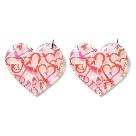 Printed Acrylic Pendants FIND-B045-22B-1